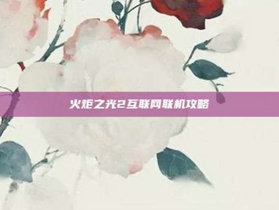 火炬之光2互联网联机攻略