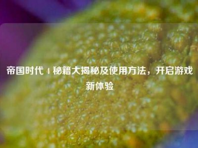帝国时代 4 秘籍大揭秘及使用方法，开启游戏新体验
