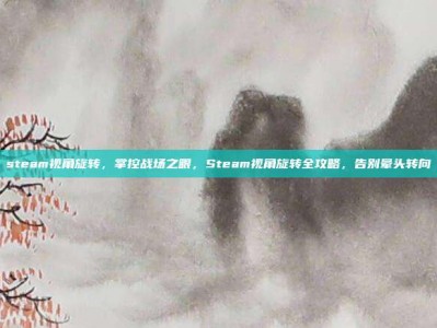 steam视角旋转，掌控战场之眼，Steam视角旋转全攻略，告别晕头转向