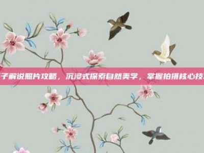 溪子解说照片攻略，沉浸式探索自然美学，掌握拍摄核心技巧