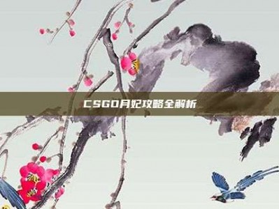 CSGO月妃攻略全解析