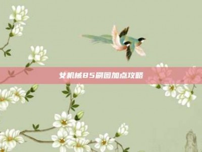 女机械85刷图加点攻略