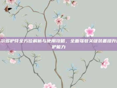 高尔多护符全方位解析与使用攻略，全面驾驭关键装备提升防护能力