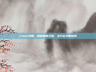 risen攻略，解锁巅峰之路，全方位突破自我