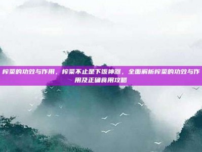 榨菜的功效与作用，榨菜不止是下饭神器，全面解析榨菜的功效与作用及正确食用攻略