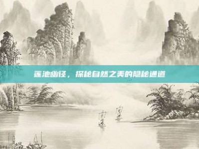 莲池幽径，探秘自然之美的隐秘通道