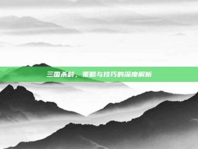三国杀龄，策略与技巧的深度解析