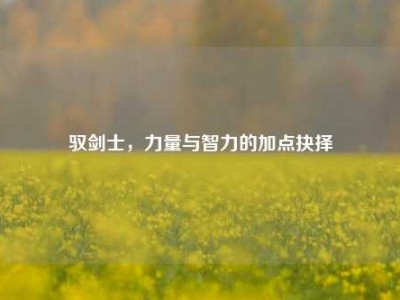 驭剑士，力量与智力的加点抉择