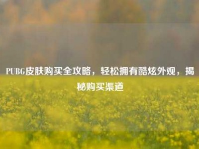 PUBG皮肤购买全攻略，轻松拥有酷炫外观，揭秘购买渠道