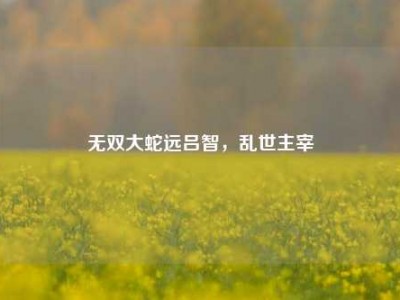 无双大蛇远吕智，乱世主宰