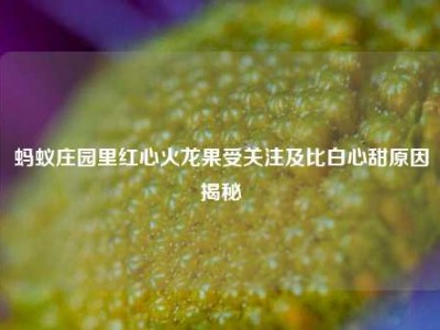 蚂蚁庄园里红心火龙果受关注及比白心甜原因揭秘