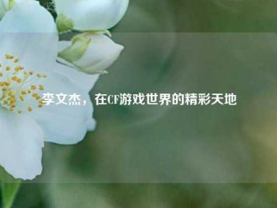 李文杰，在CF游戏世界的精彩天地