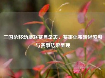 三国杀移动版联赛目录表，赛事体系清晰索引与赛事结果呈现
