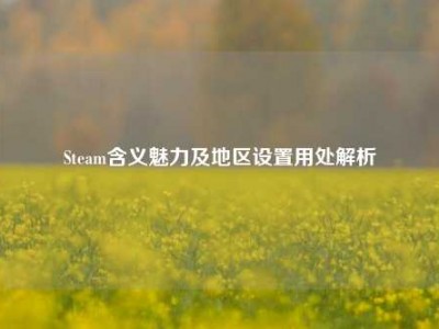 Steam含义魅力及地区设置用处解析