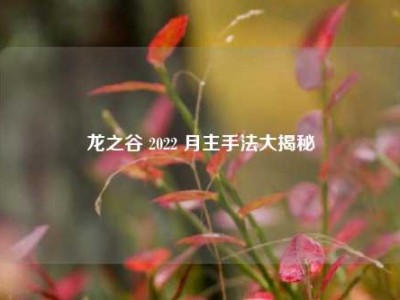 龙之谷 2022 月主手法大揭秘