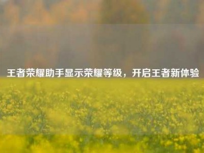 王者荣耀助手显示荣耀等级，开启王者新体验