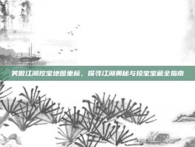 笑傲江湖挖宝地图坐标，探寻江湖奥秘与珍宝宝藏全指南
