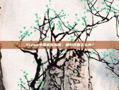 Steam中国客服指南，遇到问题怎么办？