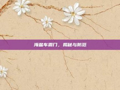 海盐车震门，揭秘与防范