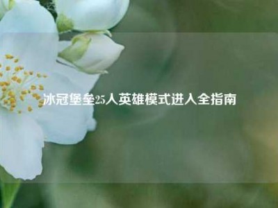 冰冠堡垒25人英雄模式进入全指南