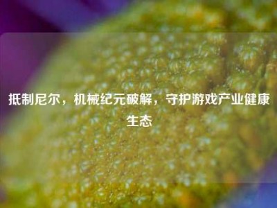 抵制尼尔，机械纪元破解，守护游戏产业健康生态