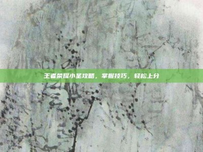 王者荣耀小圣攻略，掌握技巧，轻松上分