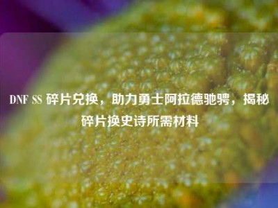 DNF SS 碎片兑换，助力勇士阿拉德驰骋，揭秘碎片换史诗所需材料