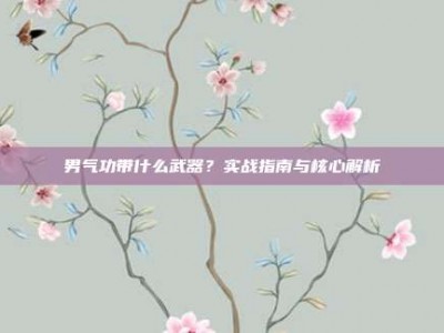 男气功带什么武器？实战指南与核心解析
