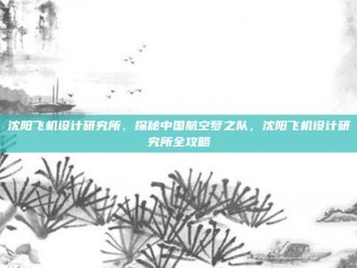 沈阳飞机设计研究所，探秘中国航空梦之队，沈阳飞机设计研究所全攻略