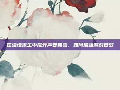 在绝地求生中提升声音体验，如何增强游戏音效