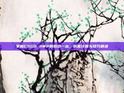 掌握CSGO AWP的致命一击，伤害计算与技巧精进