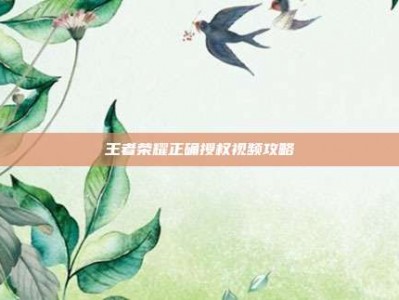 王者荣耀正确授权视频攻略
