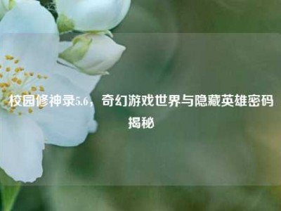 校园修神录5.6，奇幻游戏世界与隐藏英雄密码揭秘