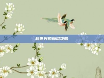 新世界的海盗攻略