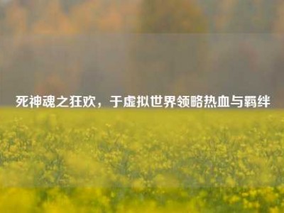 死神魂之狂欢，于虚拟世界领略热血与羁绊