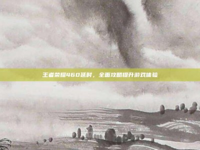 王者荣耀460延时，全面攻略提升游戏体验