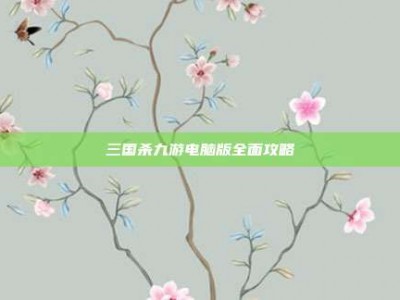 三国杀九游电脑版全面攻略