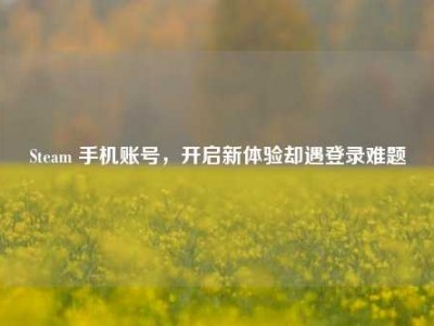 Steam 手机账号，开启新体验却遇登录难题