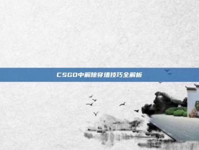 CSGO中解除穿墙技巧全解析