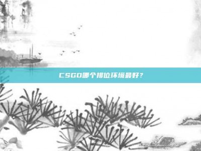 CSGO哪个排位环境最好？
