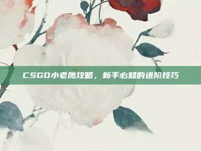 CSGO小老鹰攻略，新手必知的进阶技巧
