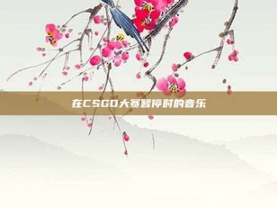 在CSGO大赛暂停时的音乐