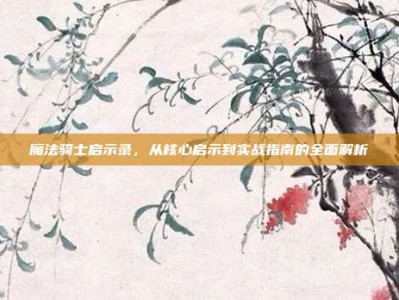 魔法骑士启示录，从核心启示到实战指南的全面解析