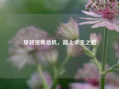穿越密集危机，踏上求生之路