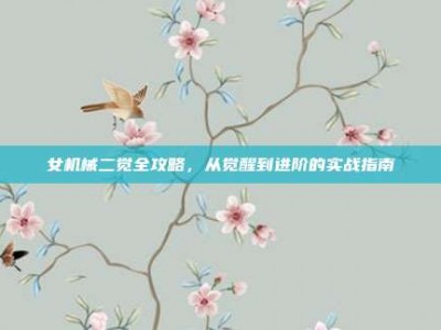 女机械二觉全攻略，从觉醒到进阶的实战指南
