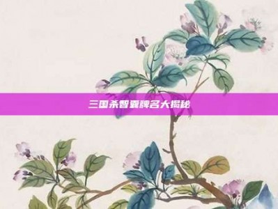 三国杀智囊牌名大揭秘