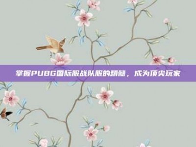 掌握PUBG国际服战队服的精髓，成为顶尖玩家
