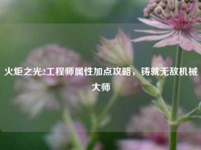 火炬之光2工程师属性加点攻略，铸就无敌机械大师