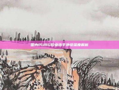 国内PUBG职业选手外设深度解析