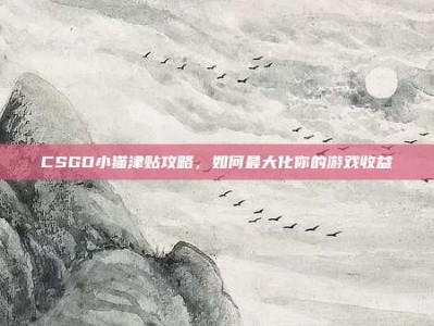 CSGO小猫津贴攻略，如何最大化你的游戏收益
